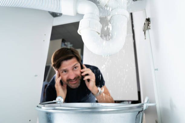 Best Drain Cleaning Services  in Pocahontas, AR
