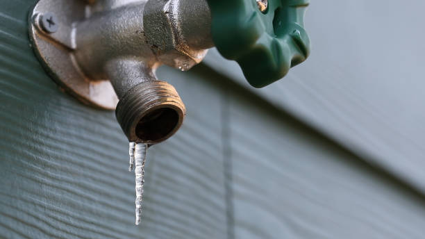 Best Leak Detection Services  in Pocahontas, AR